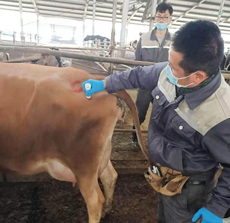 Reproduction Management