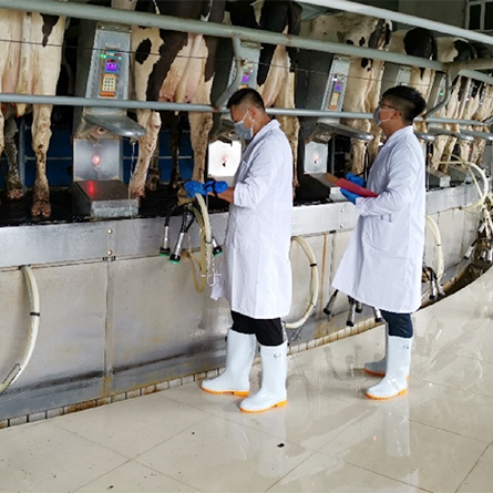 Udder Health